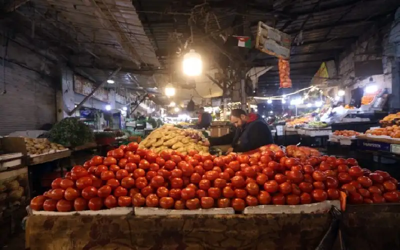 1800 طن من الخضار ترد السوق