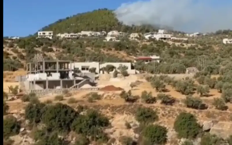حريق ضخم يندلع بمنطقة حرجية في