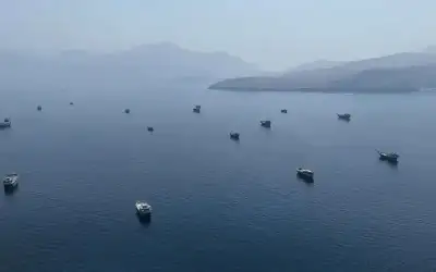 النفط يقفز .. والخام الأمريكي يتجاوز