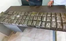 مصر تحبط تهريب 280 فرش حشيش