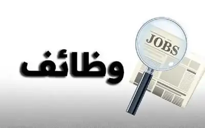 مصر تحبط تهريب 280 فرش حشيش