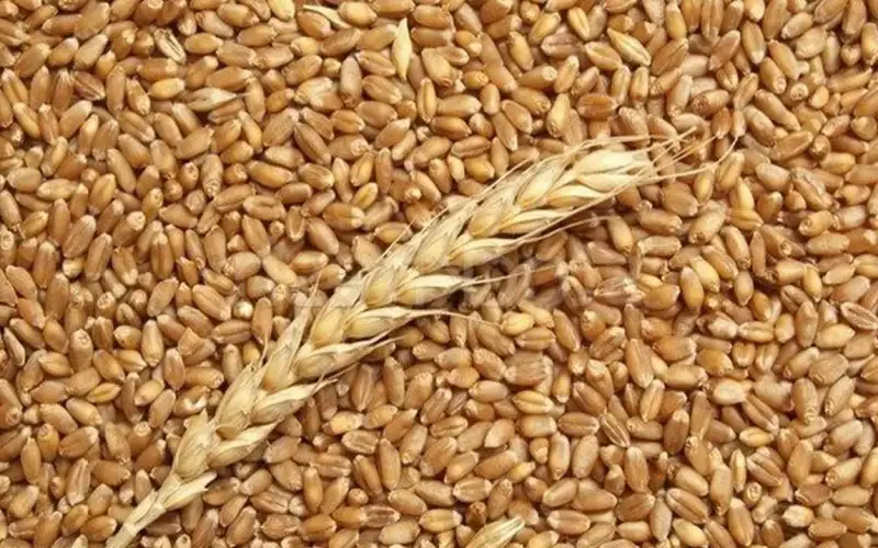 الأردن يعيد طرح عطاء لشراء كميات