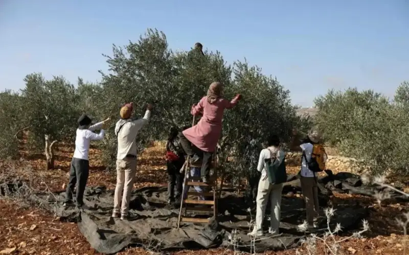 لأول مرة.. إسرائيل تمنع الفلسطينيين من