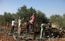 لأول مرة.. إسرائيل تمنع الفلسطينيين من