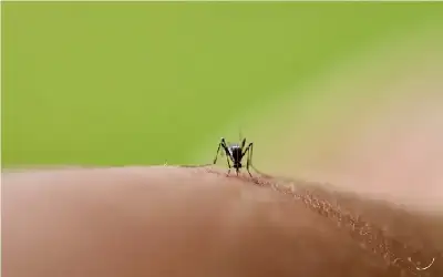 خروج 4 مستشفيات في غزة عن