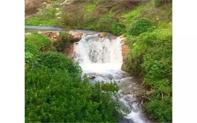 112 لاجئا سوريا خلال الـ 48
