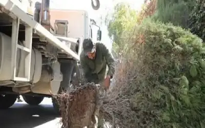 جوعته فطلقها