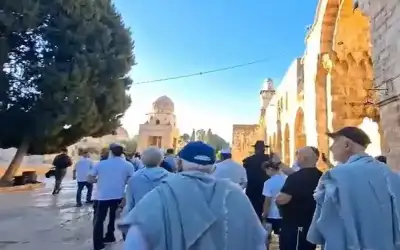 7 شهداء وعدد من الجرحى إثر