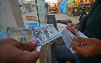 فيديو.. لص يطعن امرأة في مصعد