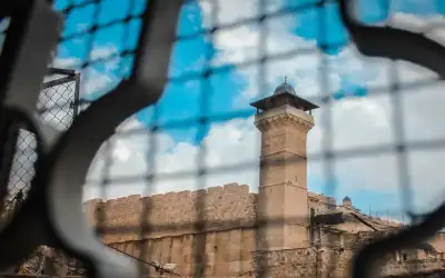 السيلفي.. طريق مميز نحو الموت (انفوجرافيك)