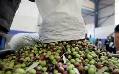 إتمام تسجيل طلبة اليرموك دون مراجعة