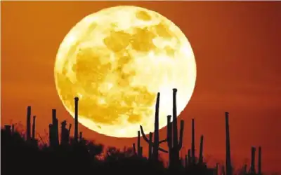 إخلاء سبيل أنجي خوري ودعوى جديدة