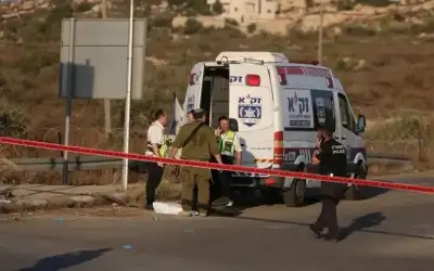 مجزرة.. نقل 106 من موظفي الجمارك