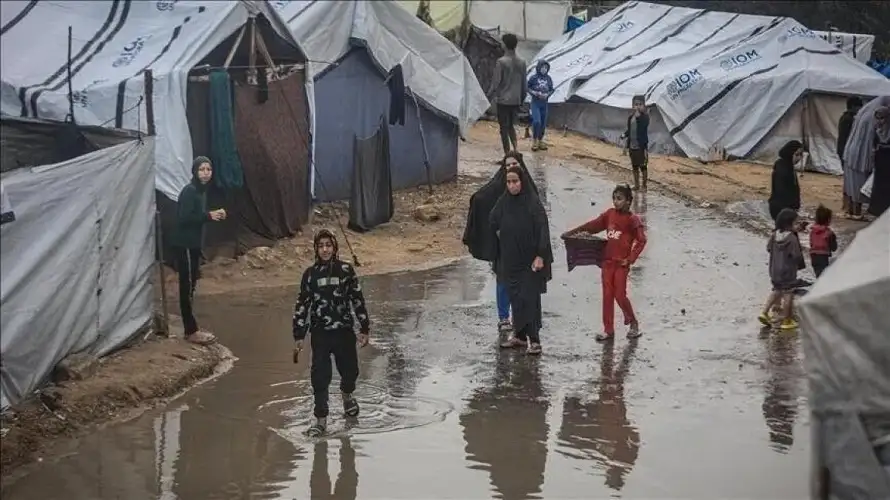 غزة .. أكثر من 60 بالمئة