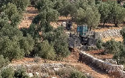 حادث غريب لخمس شاحنات دفعة واحدة