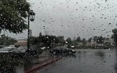 قطعة بسيطة أسفل سجادة سيارتك تمنحك