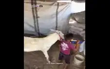 لم يعد الstrongخوstrongف على الإنسان وحده..
