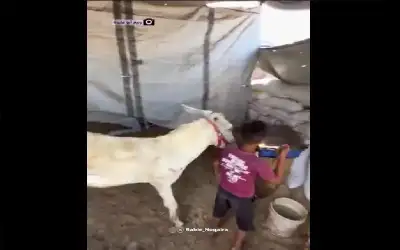 الجيش يحبط محاولة تسلل وتهريب حبوب