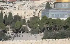 260 مستوطنا إسرائيليا يقتحمون الأقصى ويؤدون
