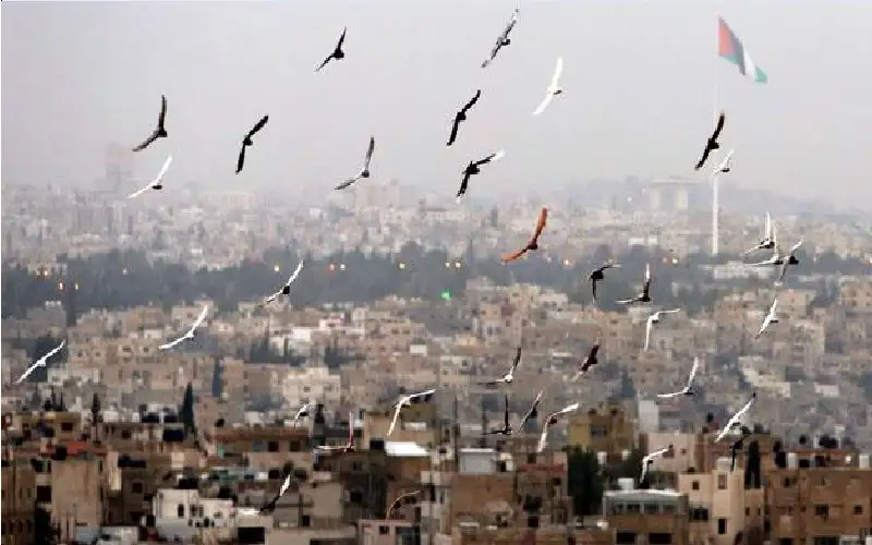 طقس الأردن حتى الثلاثاء