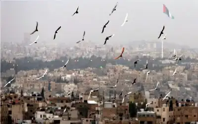 سولشار: مباراة ليفربول اختبار فعلي لقدرات