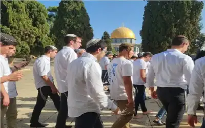إربد: سيدة تضع مولودها في (باص