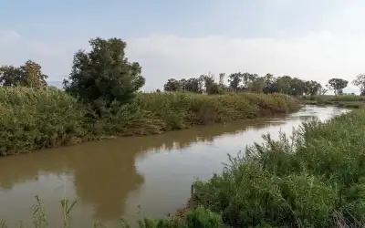 سوريا .. القبض على قائد سابق