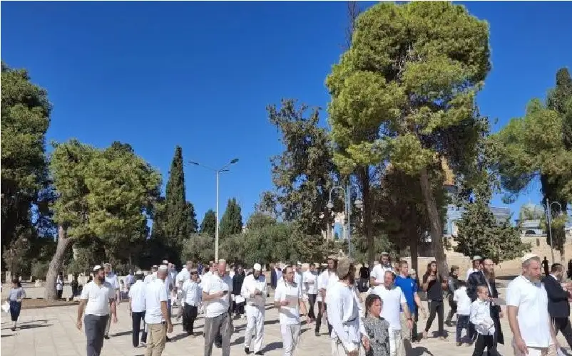 1271 مستوطنا يتقدمهم وزير جيش الاحتلال