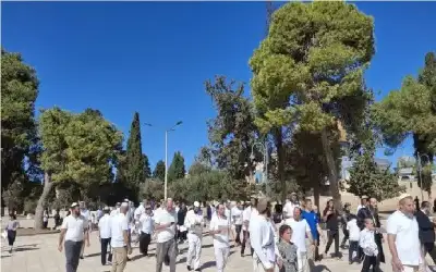 دوام عن بعد لموظفات الحكومة اللاتي