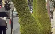 لجنة اstrongلبstrongيئة والمناخ النيابية تدعو إلى