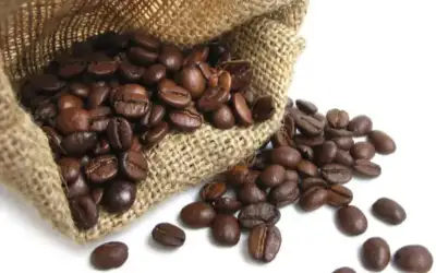 نسخة خاصة من (آي باد برو)