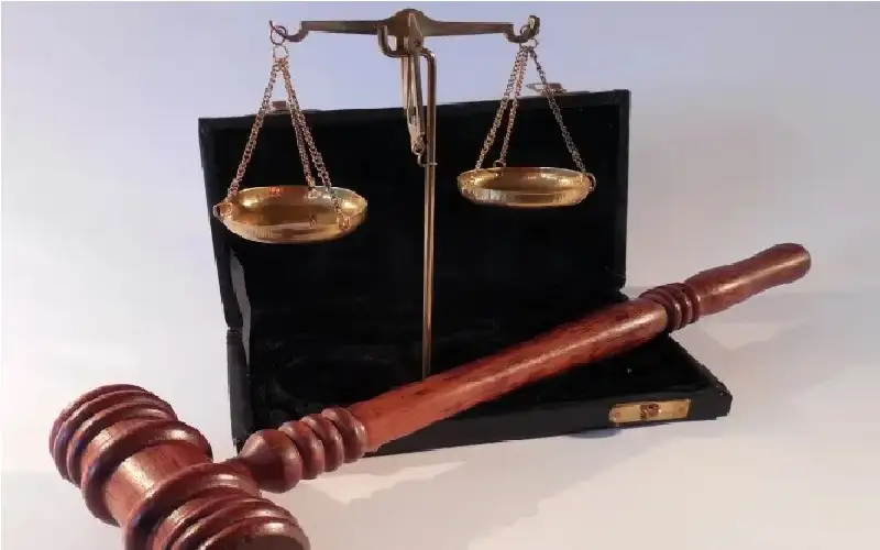 صحيفة نيسان ـ الأشغال الشاقة 20 و15 عاما لشقيقين