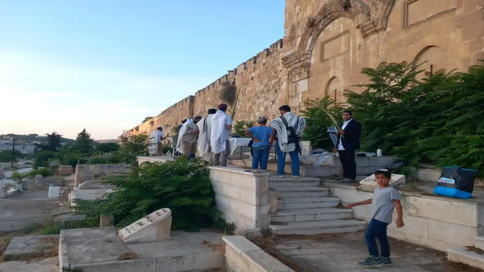 مستوطنون يدنسون مقبرة باب الرحمة المحاذية