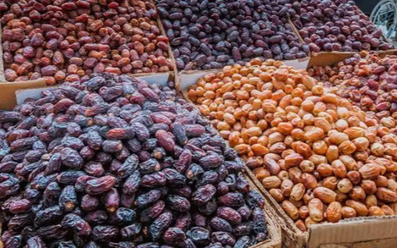 بيان صادر عن تجمع مزارعي قطاع
