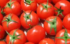 ميزة خاصة في الطماطم المطبوخة