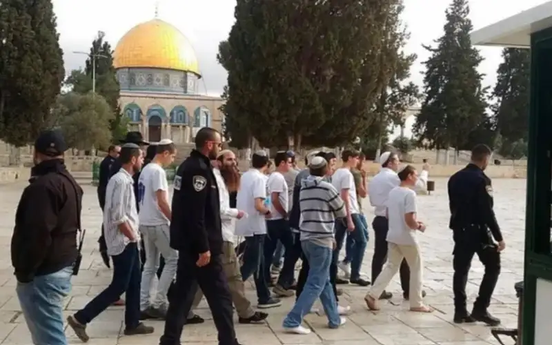 سخرية إسرائيلية من ردود فعل العرب