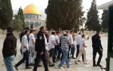 سخرية إسرائيلية من ردود فعل العرب