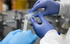 هل عاد الطاعون إلى سيبيريا؟ وفاة
