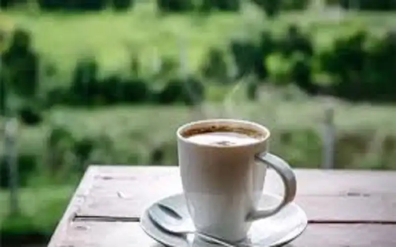 الموعد الأفضل للتوقف عن شرب القهوة