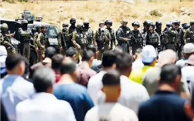 الشواربة يتفقد مواقع بيع وذبح الاضاحي