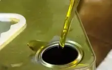 فتح معاصر الstrongزيstrongتون في الأردن اعتبارا
