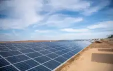 بـ 648 ألف دينار.. فلس الريف