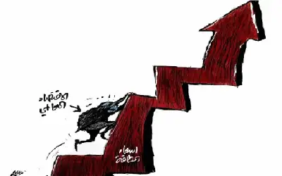 مصور مغربي يحتفي بجمال الديك