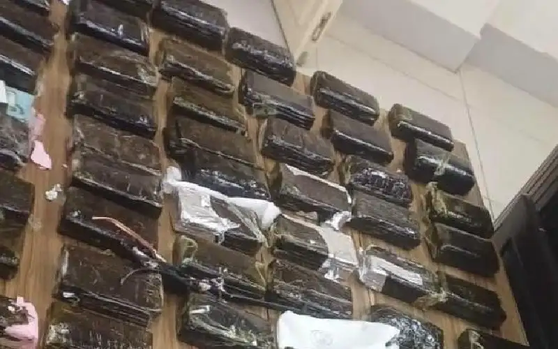 الجمارك: ضبط 296 كفا من الحشيش