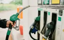 السstrongعيstrongدات: إجراءات قانونية بحق مخالفي تعليمات