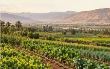 ائتلاف حماية أراضي الأغوار الجنوبية يطاstrongلبstrong