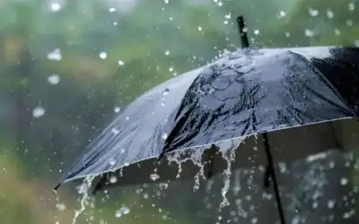 الإعلام الحكومي بغزة: إنزال المساعدات جوا