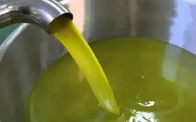 وفاة و 9 اصابات بحادث تصادم
