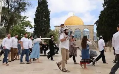 أخطر أنواع البطاريات