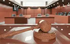 وstrongزيstrongر العدل: التحول الرقمي الكامل للمحاكم